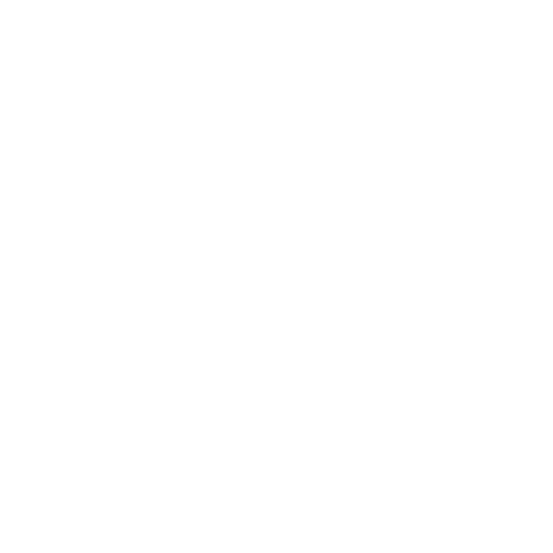 academia